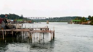 IMG 20260215 WA01221