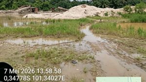 IMG 20260511 WA0374