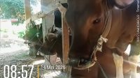 IMG 20260517 WA0188