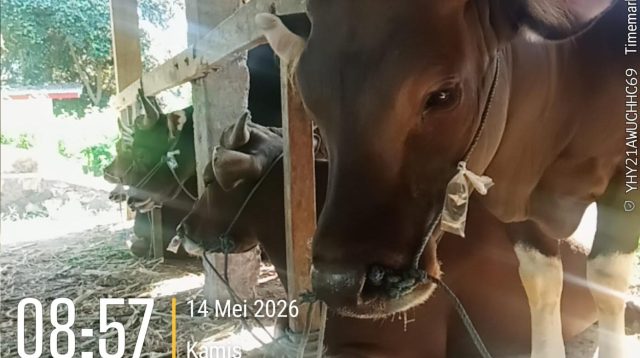IMG 20260517 WA0188