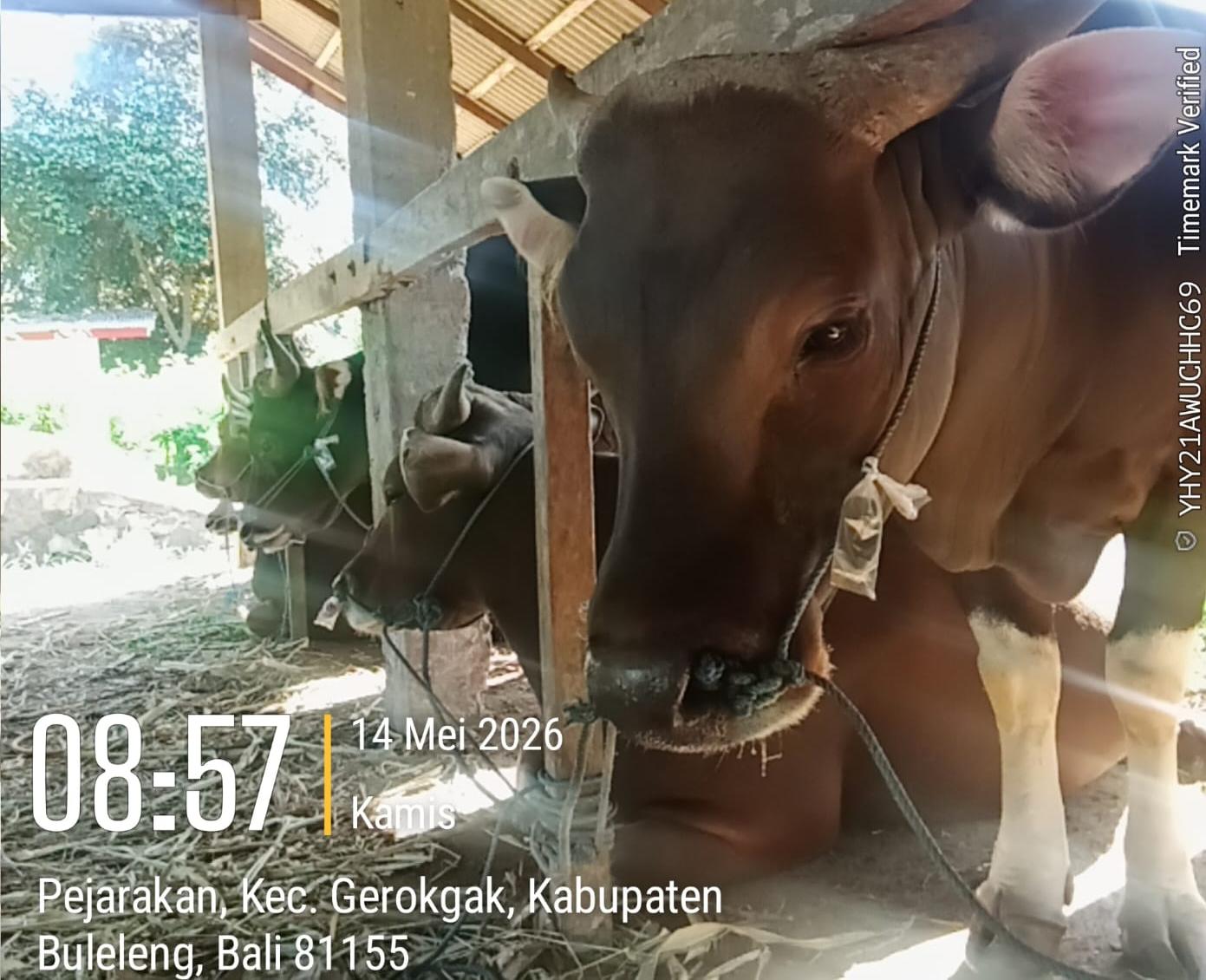 IMG 20260517 WA0188