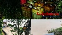 IMG 20260517 WA0313