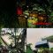 IMG 20260517 WA0313