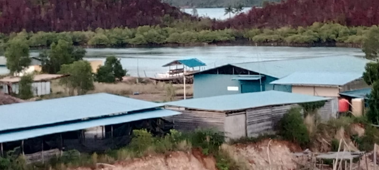 IMG 20260520 WA0287