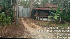 IMG 20260530 WA01861