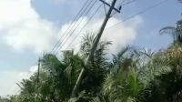 IMG 20260607 WA0063