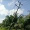 IMG 20260607 WA0063