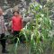 IMG 20260610 WA0155