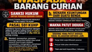 IMG 20260610 WA0218