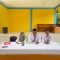 IMG 20260611 WA0330