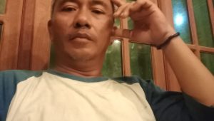 IMG 20260611 WA0331
