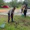 IMG 20260612 WA0152