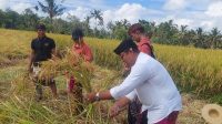 IMG 20260612 WA0255