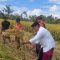 IMG 20260612 WA0255