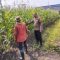 IMG 20260613 WA0146