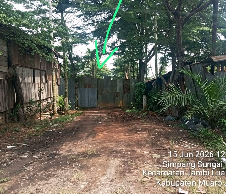 IMG 20260615 WA0150