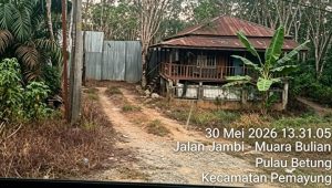 IMG 20260617 WA0287