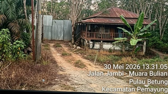 IMG 20260617 WA0287