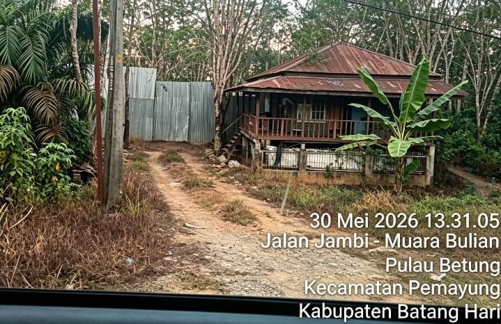 IMG 20260617 WA0287