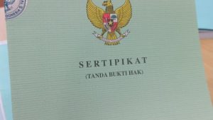 IMG 20260624 WA0205