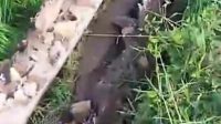 IMG 20260624 WA0216