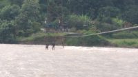 IMG 20260625 WA0273