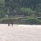 IMG 20260625 WA0273