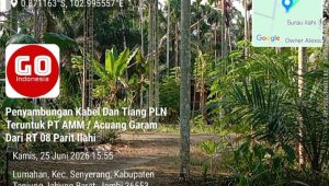 IMG 20260625 WA0467