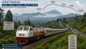 IMG 20260701 WA0500