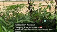 IMG 20260708 WA0173