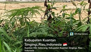 IMG 20260708 WA0173