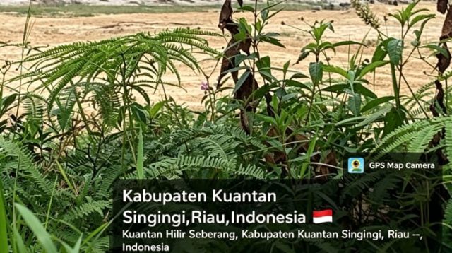IMG 20260708 WA0173