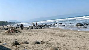 IMG 20260709 WA0169