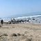IMG 20260709 WA0169