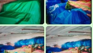IMG 20260711 WA0273