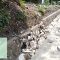 IMG 20260721 WA0250