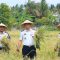 IMG 20260728 WA0289