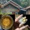 IMG 20260730 WA0118