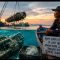 IMG 20260814 WA0484