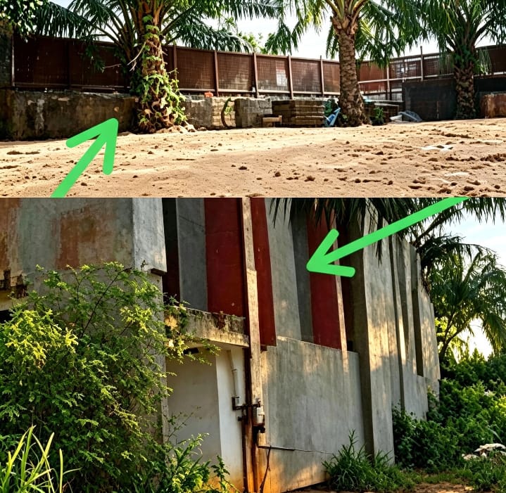 IMG 20260905 WA0092