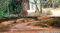 IMG 20260907 WA0316