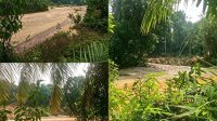 IMG 20260910 WA0127