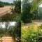 IMG 20260910 WA0127