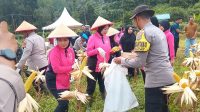 IMG 20260927 WA02391