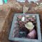 IMG 20261007 WA0405