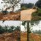IMG 20261009 WA0599