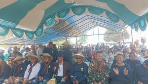 IMG 20261011 WA0372