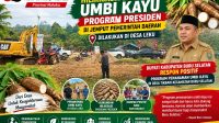 IMG 20261013 WA0071