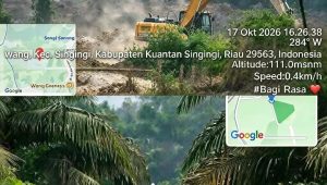 IMG 20261019 WA0547