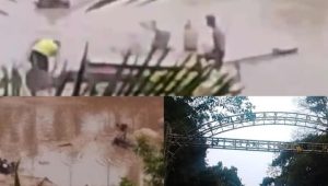 IMG 20261024 WA0402